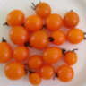 Sungold Select Sungold Select