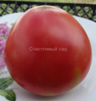 Девичье сердце