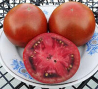 African Brown (Африканский коричневый)