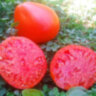 Lescana Heart (Сердце Лескана) Lescana Heart (Сердце Лескана)