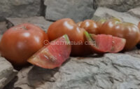 Dwarf Grandma’s Chocolate (Гном Бабушкин шоколад)