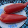 Hog Heart (Сердце борова) Hog Heart (Сердце борова)