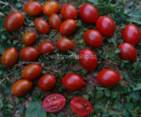 Datterini nero (Даттерини черный)