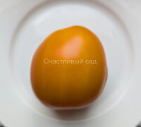 Дуся оранжевая