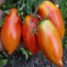 Marzano Fire (Огонь Марзано) Marzano Fire (Огонь Марзано)