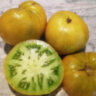 Big Green Dwarf (Большой зеленый Гном) Big Green Dwarf (Большой зеленый Гном)