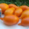 Orange Walk (Оранжевая Прогулка)