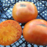 Apricot Brandywine (Абрикосовый Брэндивайн) 