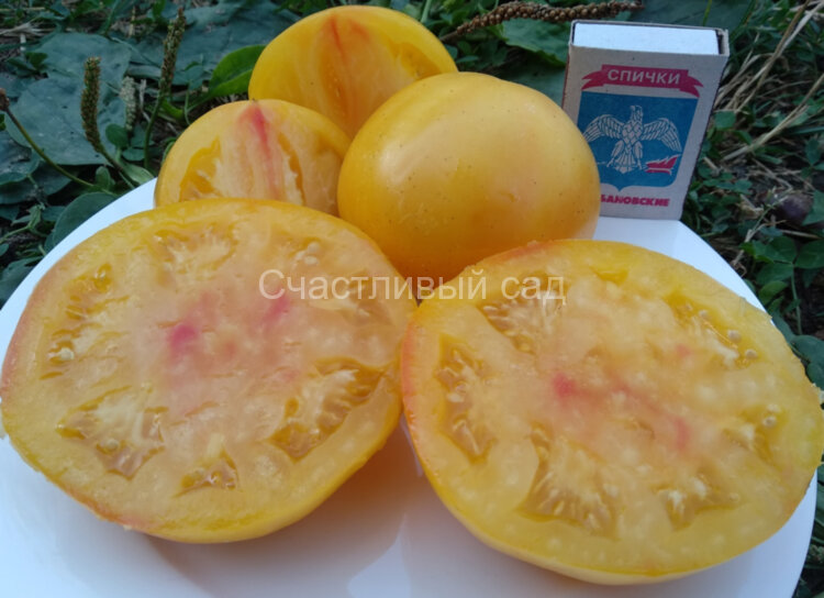 Virginia Sweets (Вирджинии сладости, Вирджинский сладкий) Virginia Sweets (Вирджинии сладости, Вирджинский сладкий)