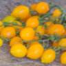 Piennolo Giallo Del Vesuvio (Пенноло Дель Везувио желтые) Piennolo Giallo Del Vesuvio (Пенноло Дель Везувио желтые)