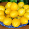 Piennolo Giallo Del Vesuvio (Пенноло Дель Везувио желтые) Piennolo Giallo Del Vesuvio (Пенноло Дель Везувио желтые)