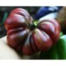 Purple Calabash (Пурпурный Калабаш)