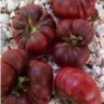 Purple Calabash (Пурпурный Калабаш)