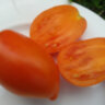 Cream Orange Giant (Гигант оранжевый кремовый, Оранжевый крем) Cream Orange Giant (Гигант оранжевый кремовый, Оранжевый крем)