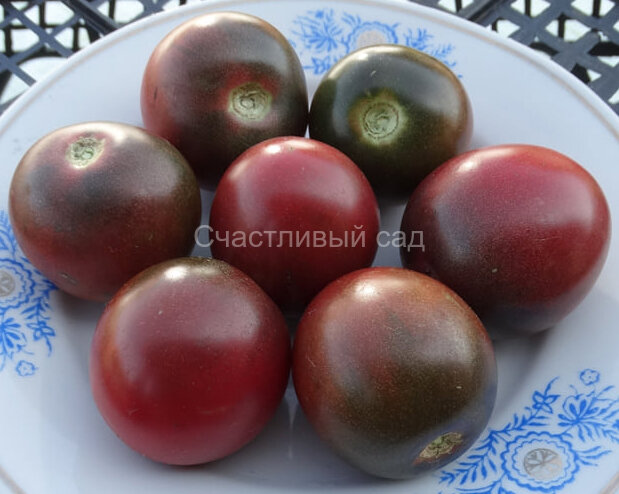Haley’s Purple Comet (Пурпурная комета Хэйли) Haley’s Purple Comet (Пурпурная комета Хэйли)
