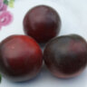 Woolly Blue Wine (Пушистое синее вино) Woolly Blue Wine (Пушистое синее вино)