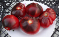 Синяя Груша (Blue Pear)