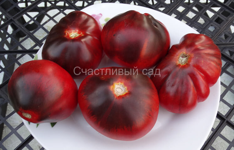Синяя Груша (Blue Pear) Синяя Груша (Blue Pear)