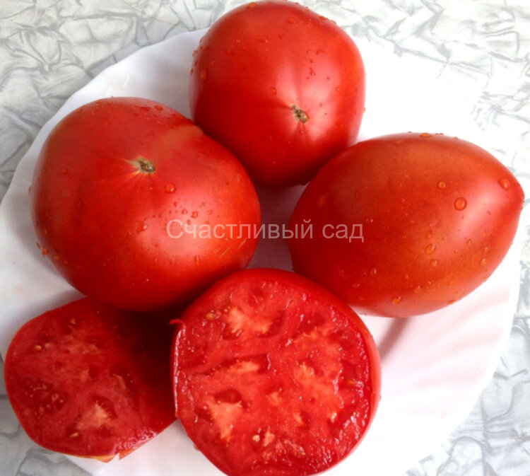 Joe’s Plum (Слива Джо) Joe’s Plum (Слива Джо)