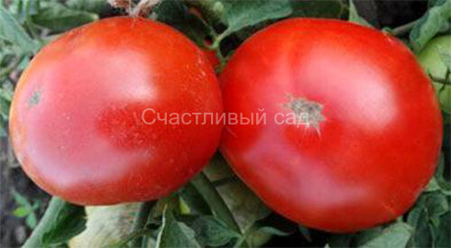 Резонанс Резонанс