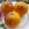 Golden Tiger (Золотой тигр) Golden Tiger (Золотой тигр)