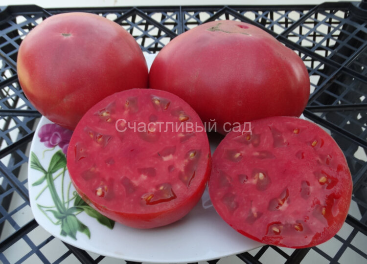 Черногория Черногория