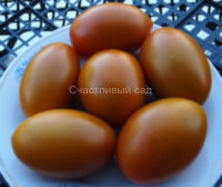 Bronza (Аmarillo rusty paste)
