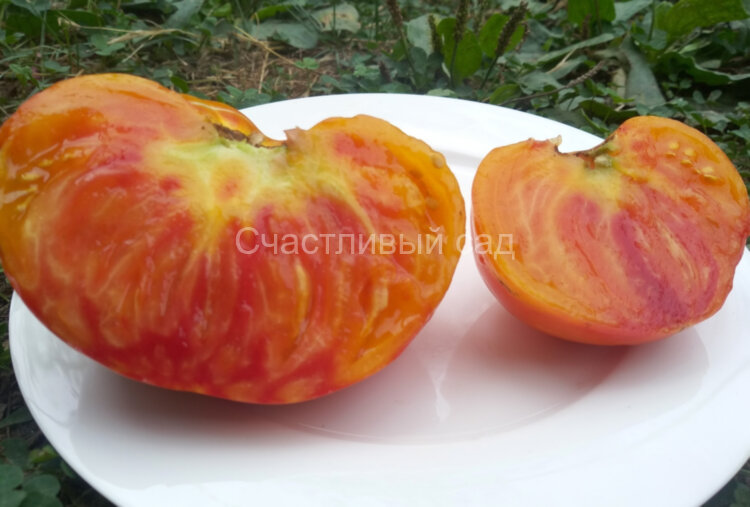 Царевич