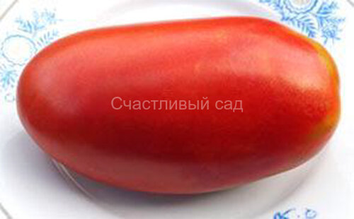 Испанский гигант Испанский гигант