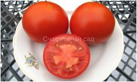 Сваты Сваты