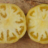 Dwarf Golden Gypsy (Гном Золотой цыган) Dwarf Golden Gypsy (Гном Золотой цыган)